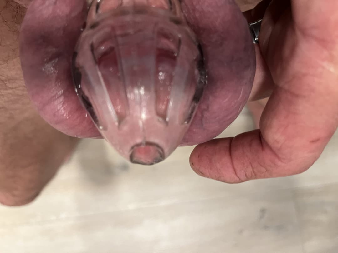 My wife went out and made sure I was all Locked up