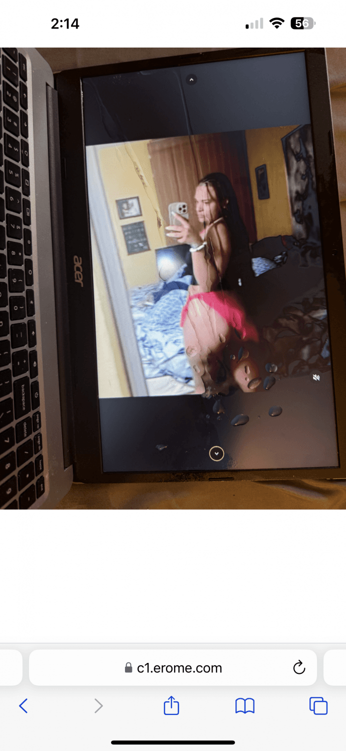 Latina Trib compilation