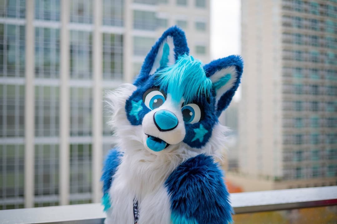 [FURRY] ??? vietnamese nonbinary femboy with a cute face (ņöväfłüffÿħüşķŷ)