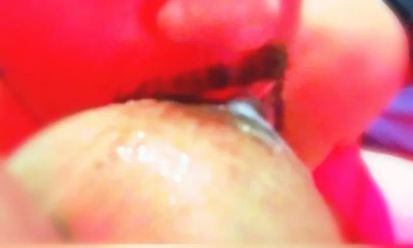 Click to view full size Pato de Belgrano