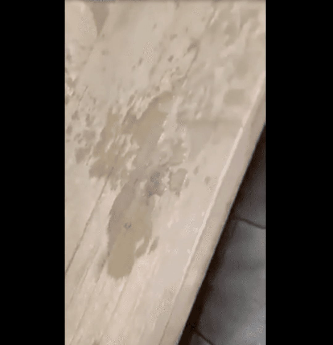 teen accidentally squirts in public bathroom during orgasm – oops, enf, voyeur, mess, wet, 18 yo