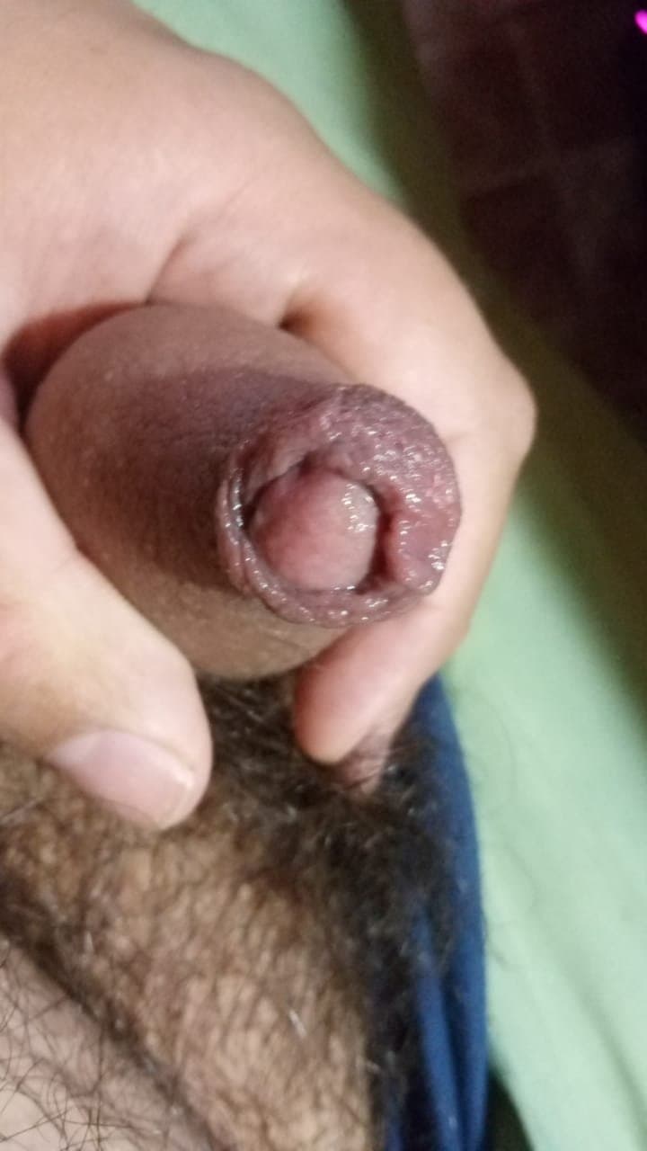 caliente, wilde, buenos aires, si me ofresco si alguna quiere hableme