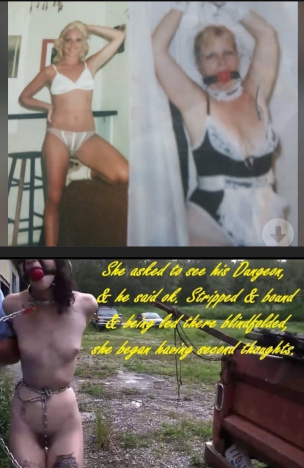 White cunts bound/gaged/fucked&sold !