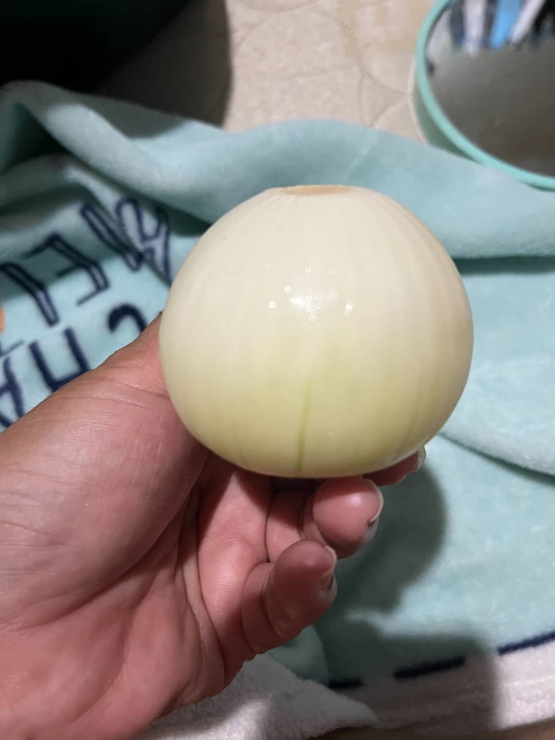 pussy laying tomato, onion