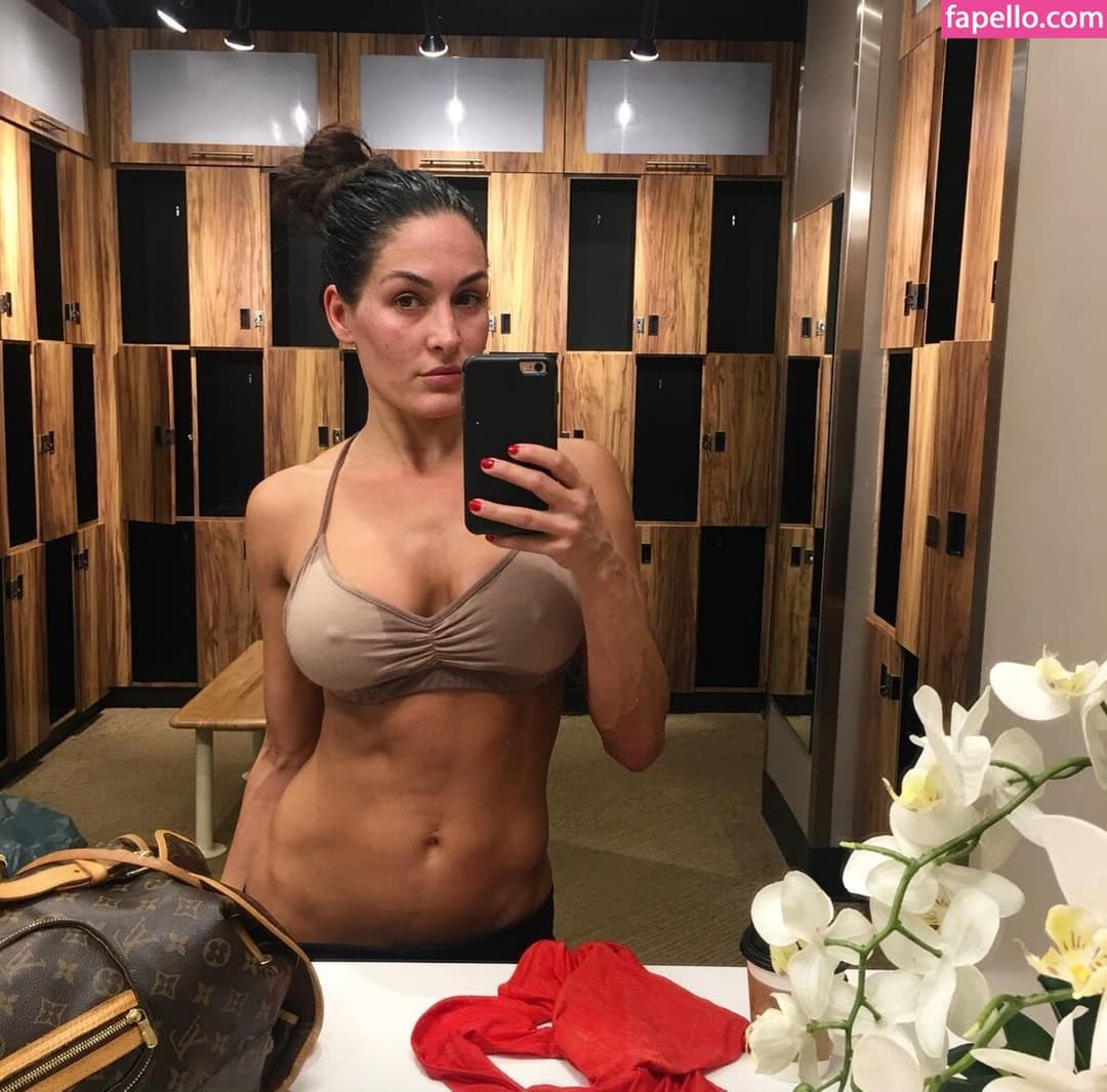 Nikki bella Brie bella