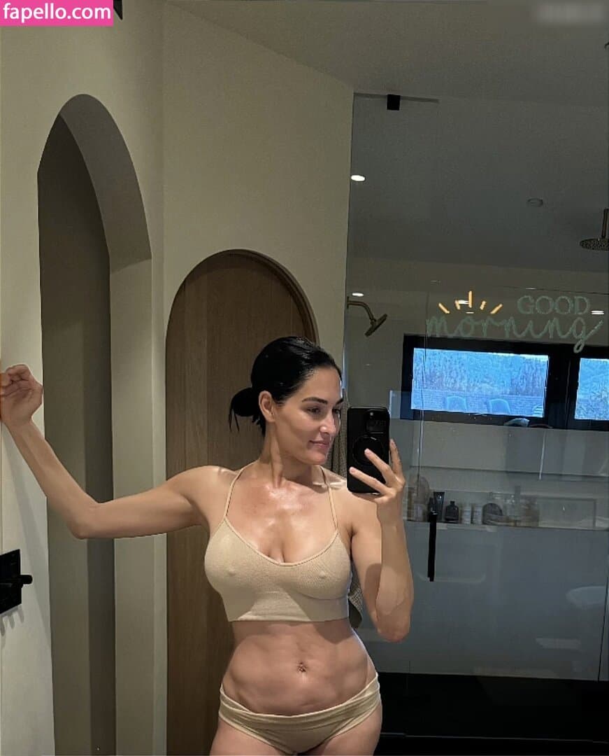 Nikki bella Brie bella