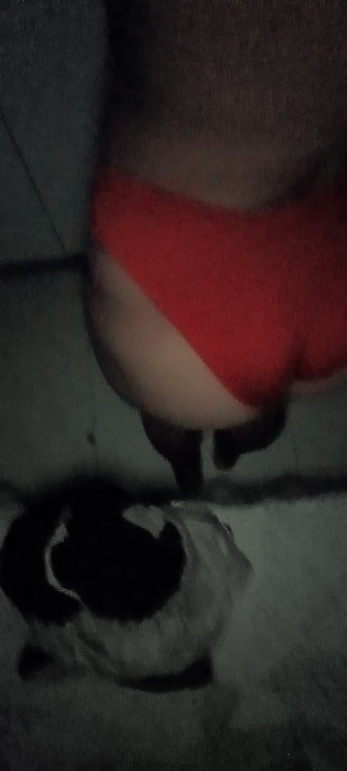 Usando calcinha da mamãe ? (vendo fotos e vídeo exclusivo ❤️)
