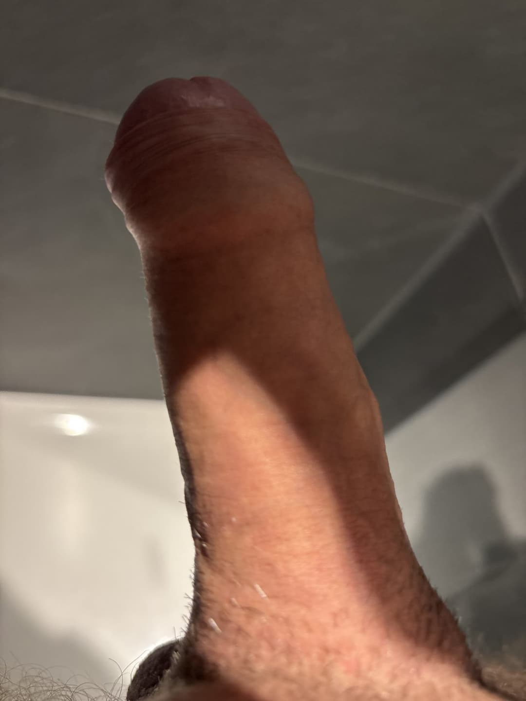 Süße Janalibra, willst du meinen schwanz blasen?