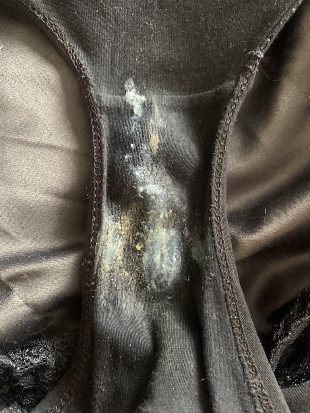 My lovely dear sister and her dirty  panties ??? if u want trib her and send me the results