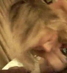 Blonde girlfriend teen amateur suck