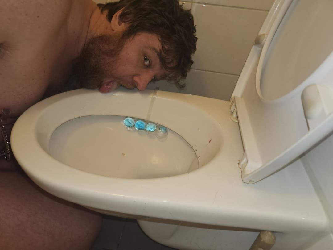 exhibition of the great faggot.    ?? ??Rijswijk30 Edwin Antonio se johannes  ???? ????