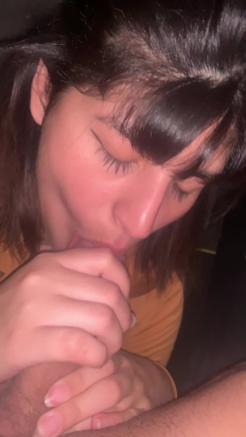 Pete de rosarina en el auto