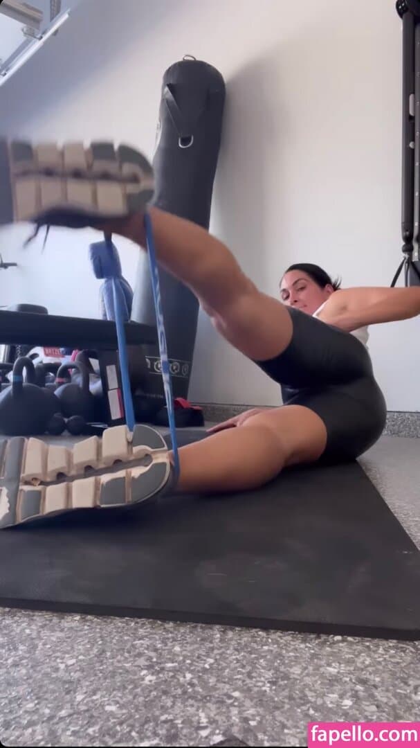 Nikki bella Brie bella