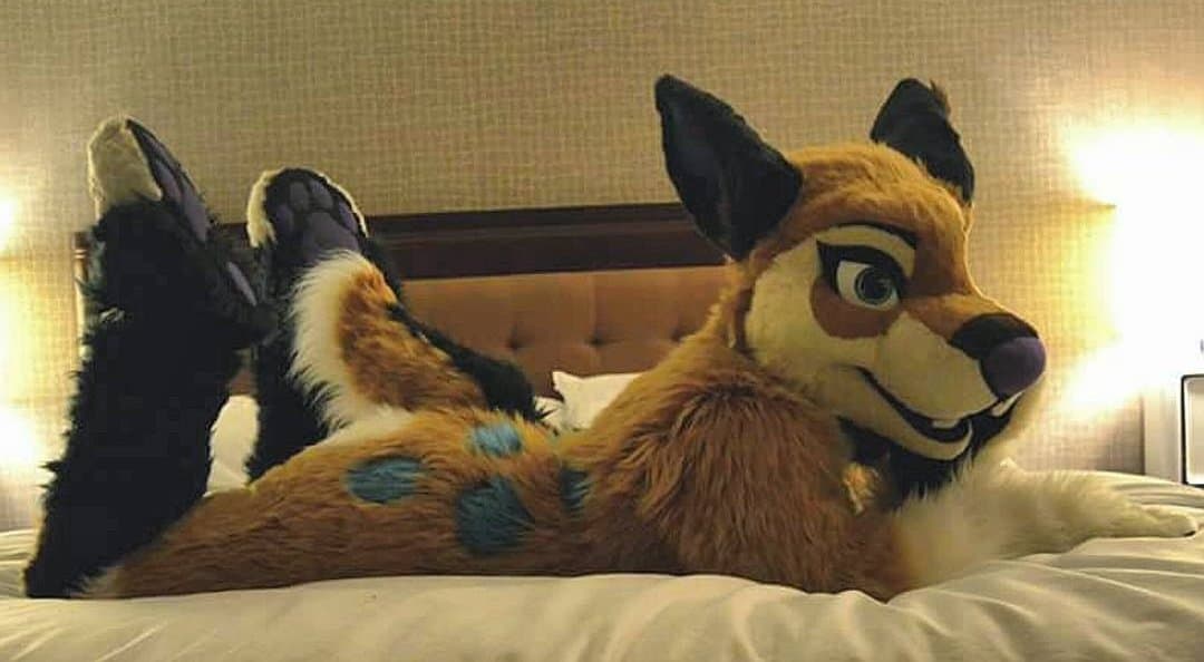 [FURRY] ?? infamous shiba/deer murrsuiter sex tapes (fřëÿäśħîbê)