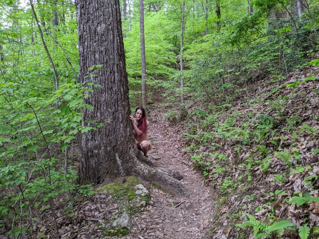 Click to view full size Hiking in the Mountains