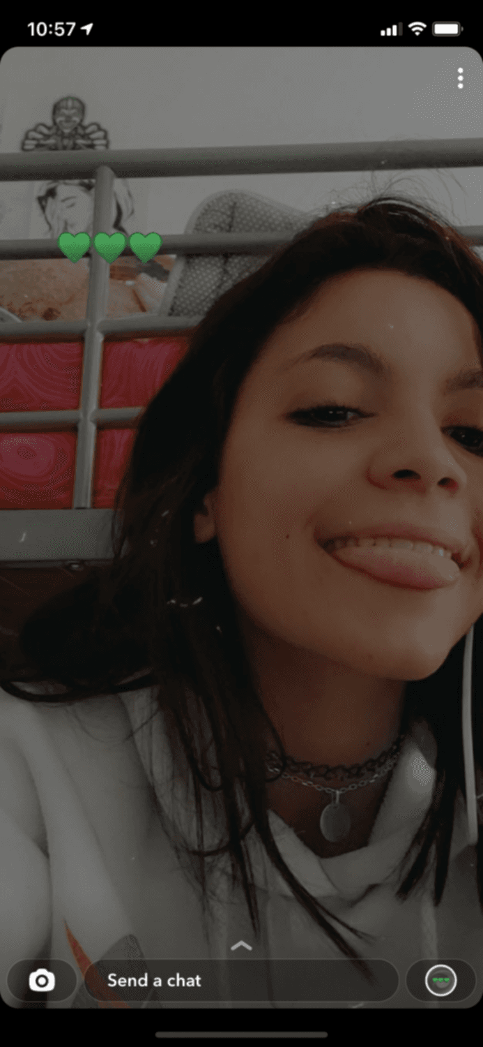 Click to view full size Salope de Lyon