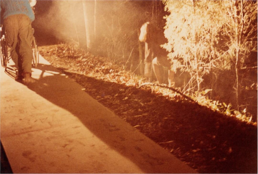 The Trees! They’re Alive!!! (Part 3)