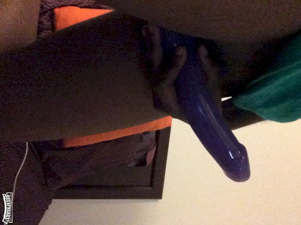 Ebony Dyke Stud Hall Of Fame P2