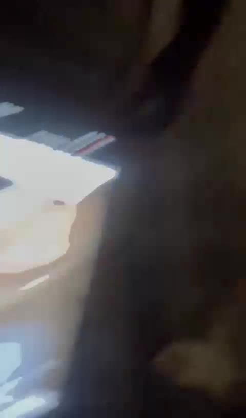 Sint Niklaas, Belgjikë. Imer Kajtazi. Shikoni çfarë vajze të bukur ka me shtatë persona njëherësh.
V