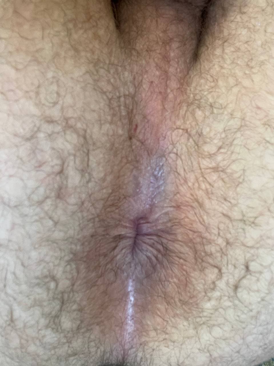 Any curious husbands and fags to worship blue collar daddy