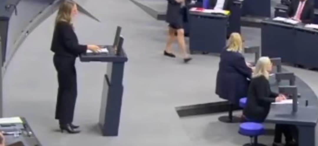 German slim thicc and pawg milfs ??