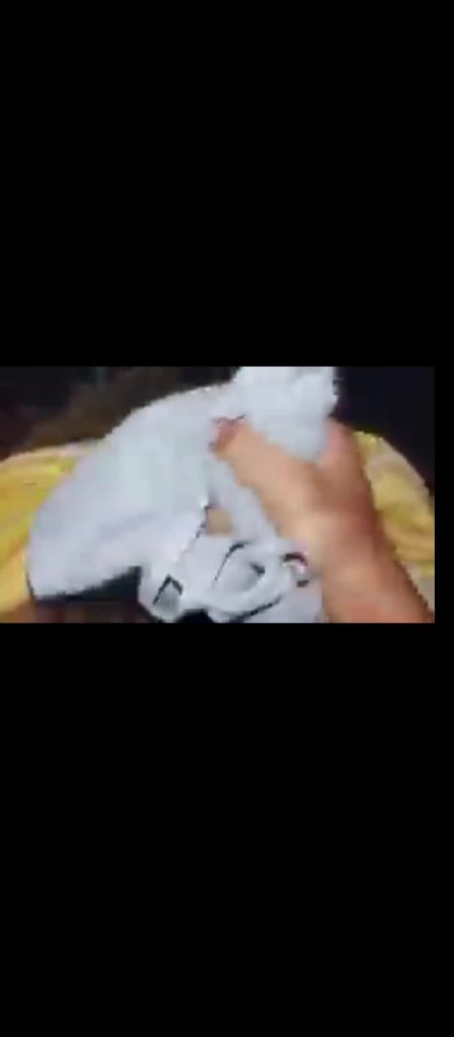 Masturbarme con la ropa interior de mi madrastra pensando en sus ricas tetas ??