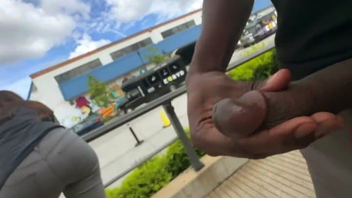 Shark Attack (WILD!)