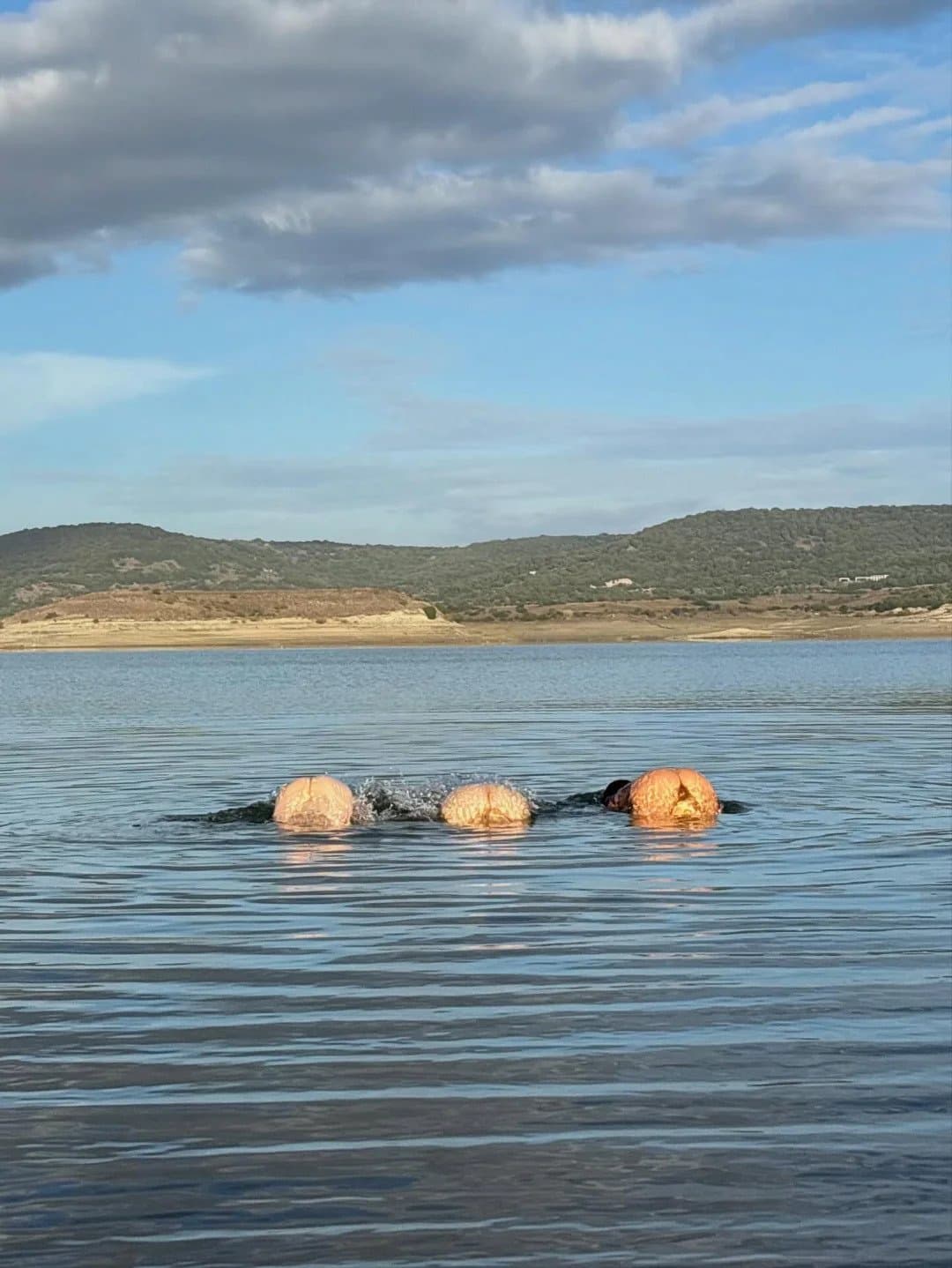 Game of thrones actress Maisie Williams skinny dipping nude