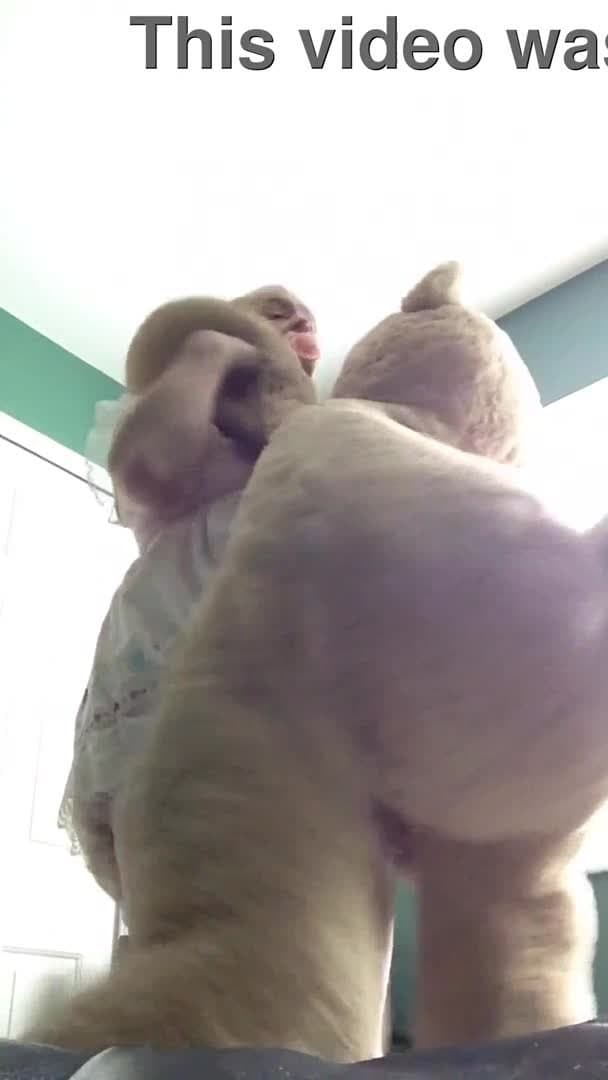 ABDL Diapered sissybaby Peter Went in pretty pink dress