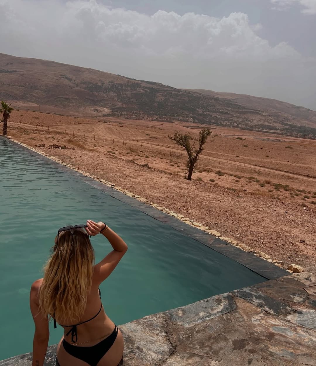 Chloé, grosse chienne française exposée