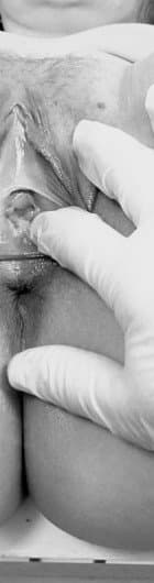 1TorUVO3_720p~2 curvy white wife Pawg Body Curvy , Big Tits Big Ass BLOWJOBS and More