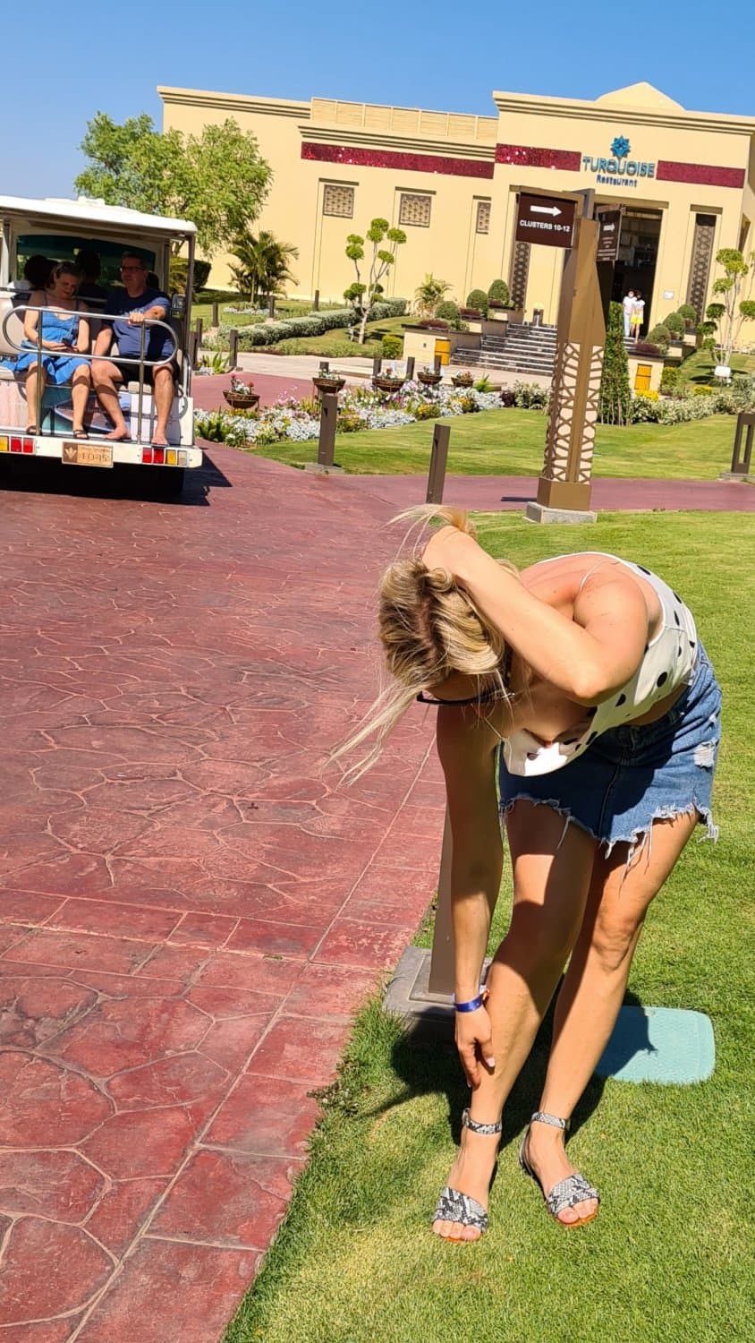 South African vacation ?