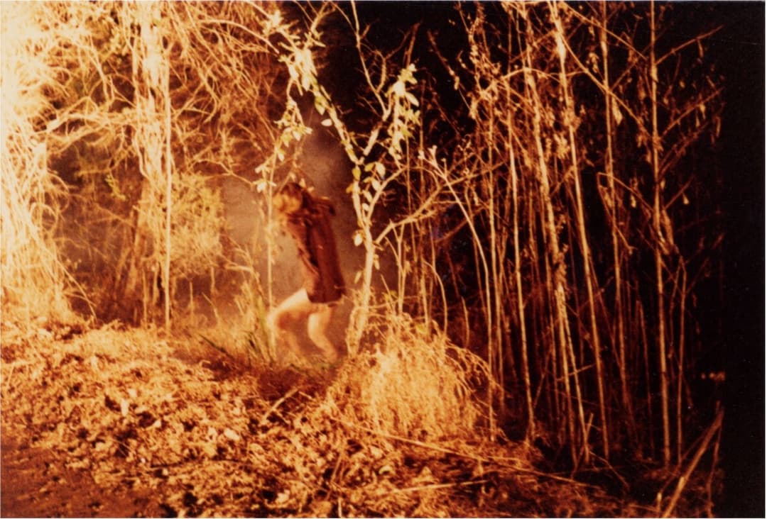 The Trees! They’re Alive!!! (Part 3)