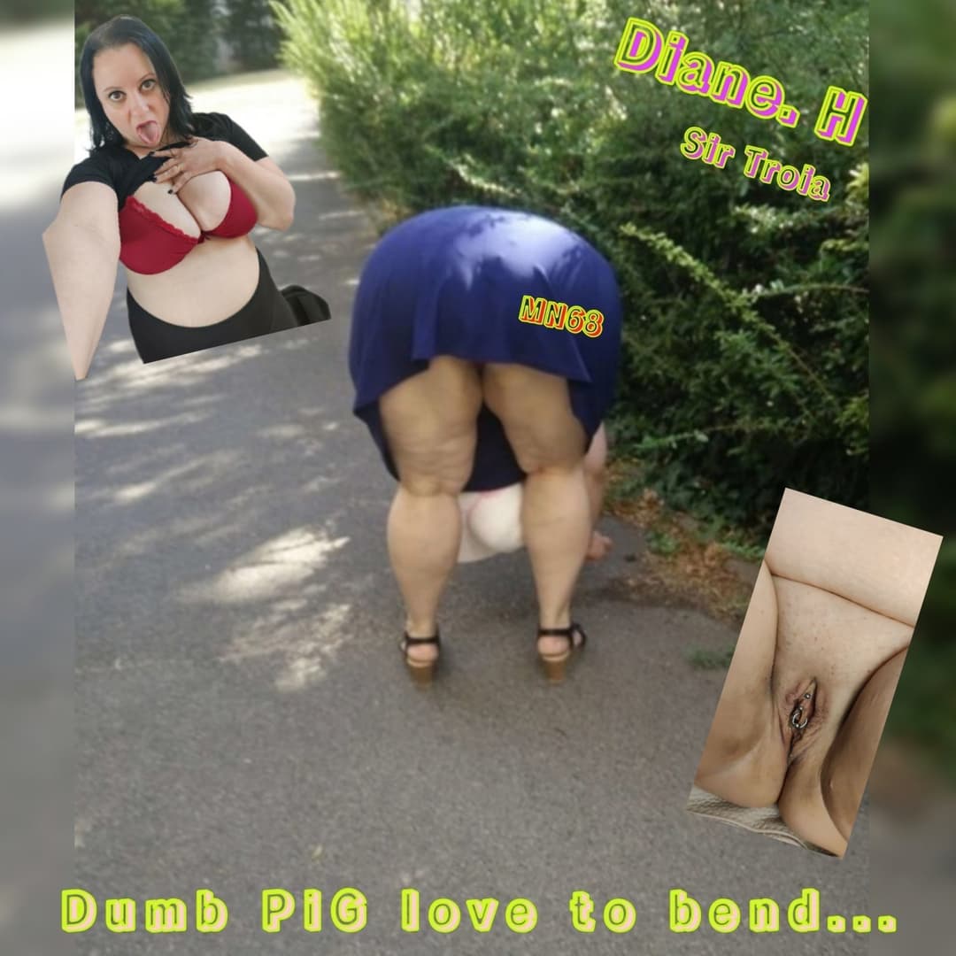 Diane Henrotte *MegaMIX*-#006