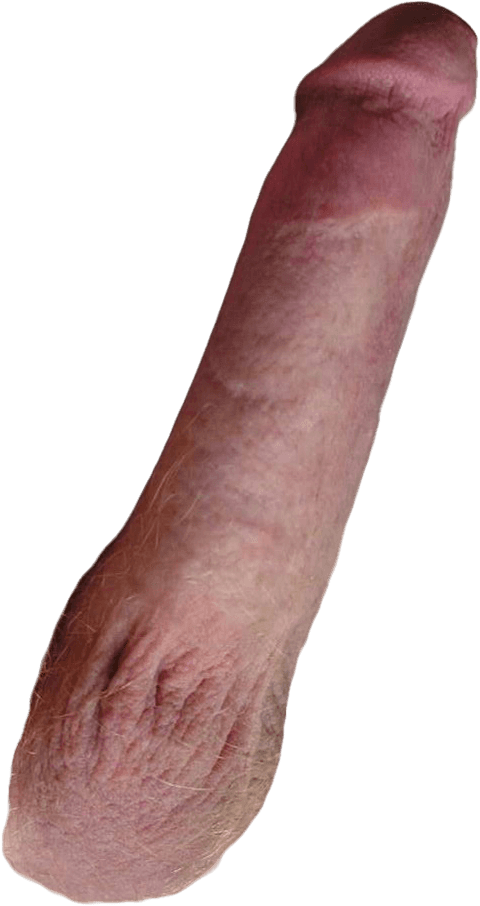 itwasfungay HOMOSEXUAL