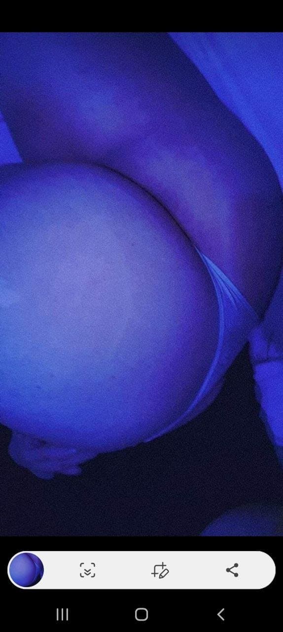 Flor, putita buenos aires