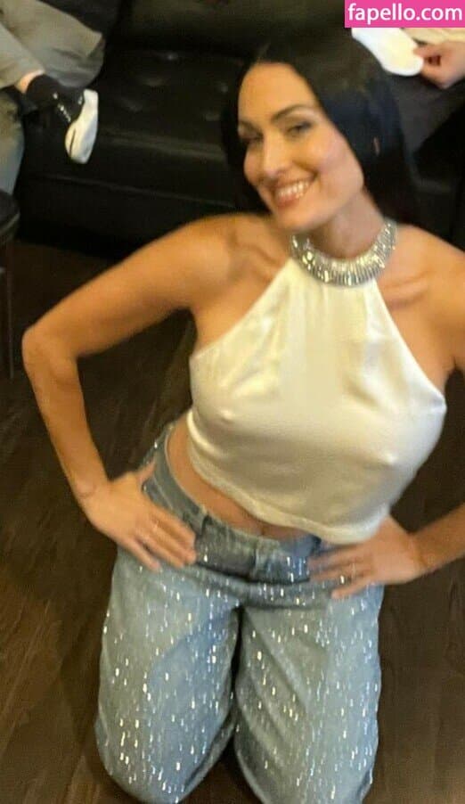 Nikki bella Brie bella