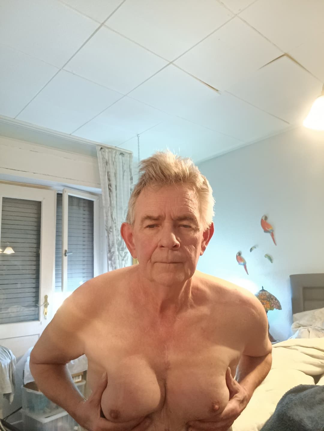 Michael Alexander, slut with breasts