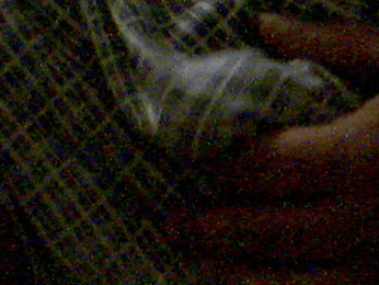 Cocks of Chatroulette (does anybody remember that)