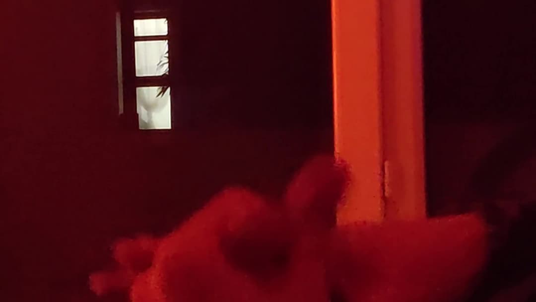 Dick jerk flash in front of neighbors