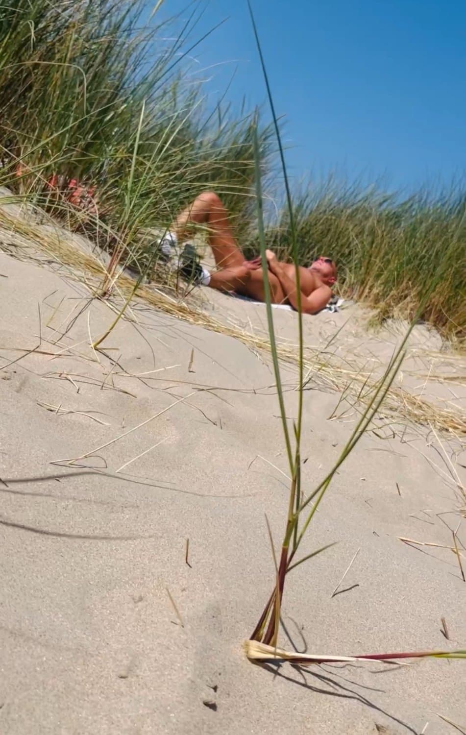 Hotwife Lena sucking in front of voyeurs on the beach