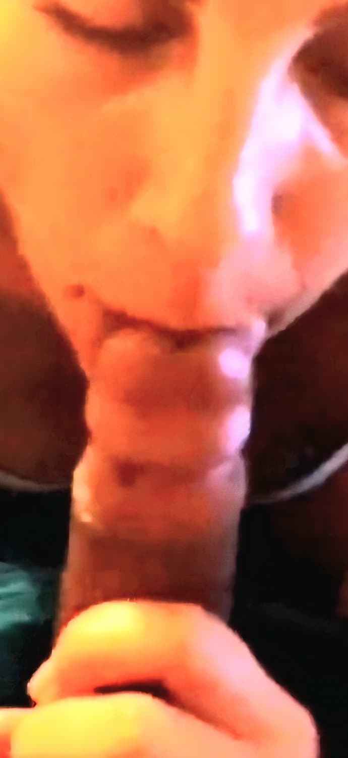 Wife amateur wife sucking cock