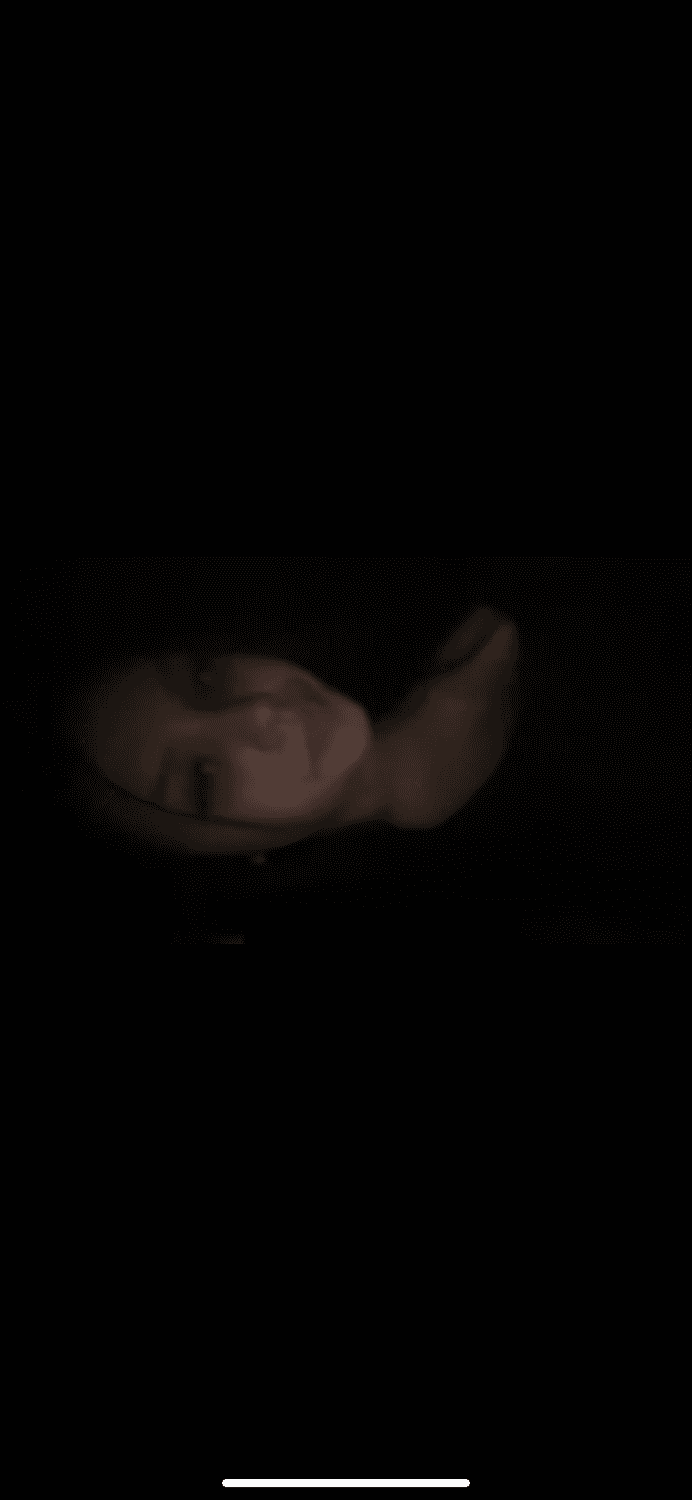 Young Latina cannot stay away from toxic older 9 inch bbc ps it’s her baby daddy(preview)