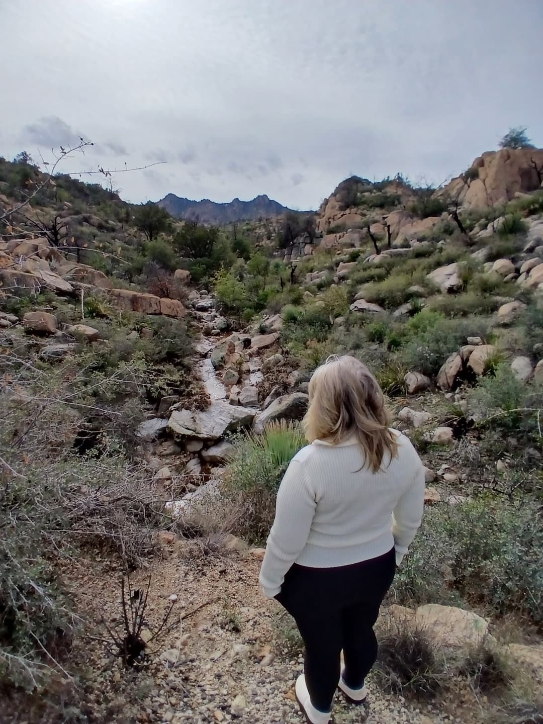 Do you want to See My PUSSY ?   Master Bedroom Blowjob Mature Milf Christine Mason pawg wife