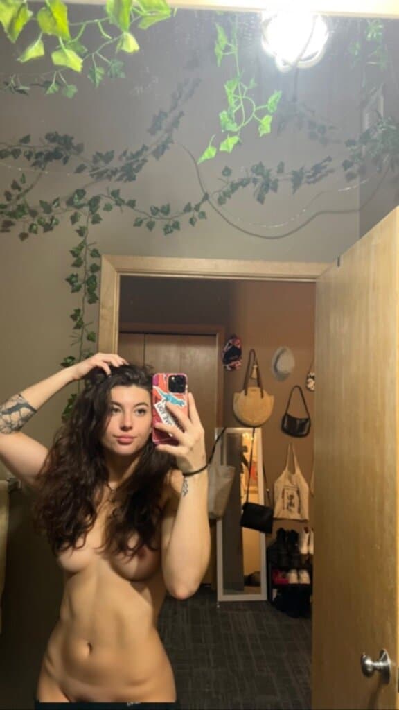 Click to view full size Halle