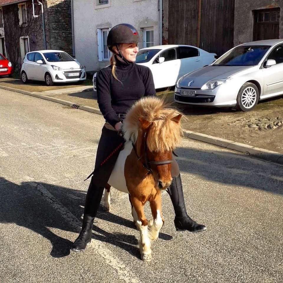 Chienne française à baiser