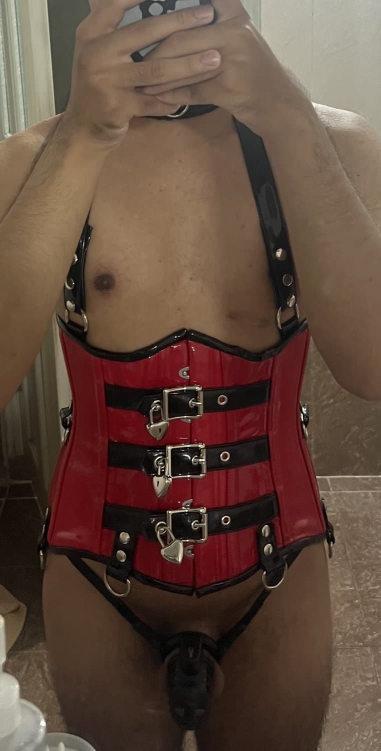 Chastity cage, corset and estim nipple clamps