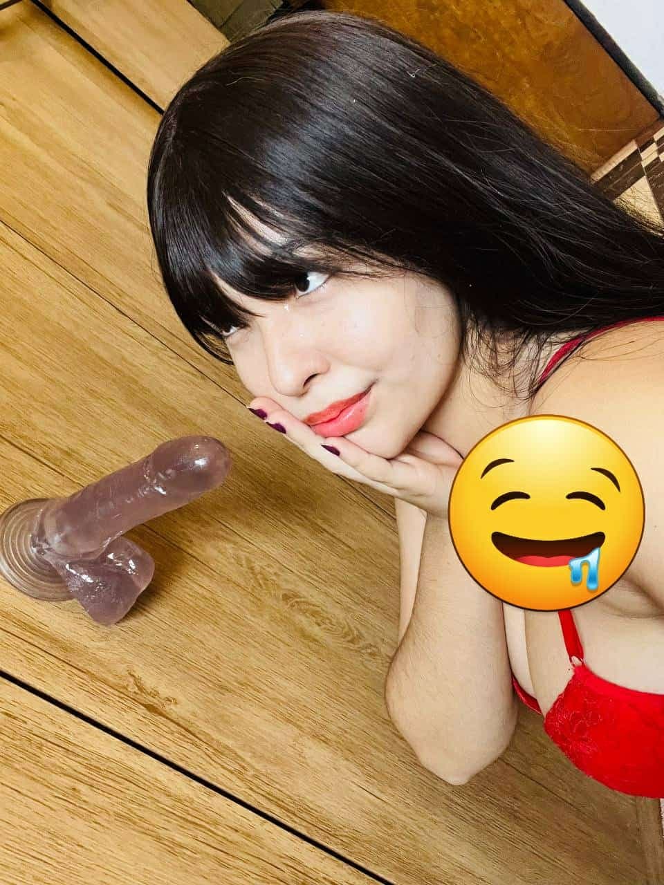 VAZADINHOS ALICIA MIYU