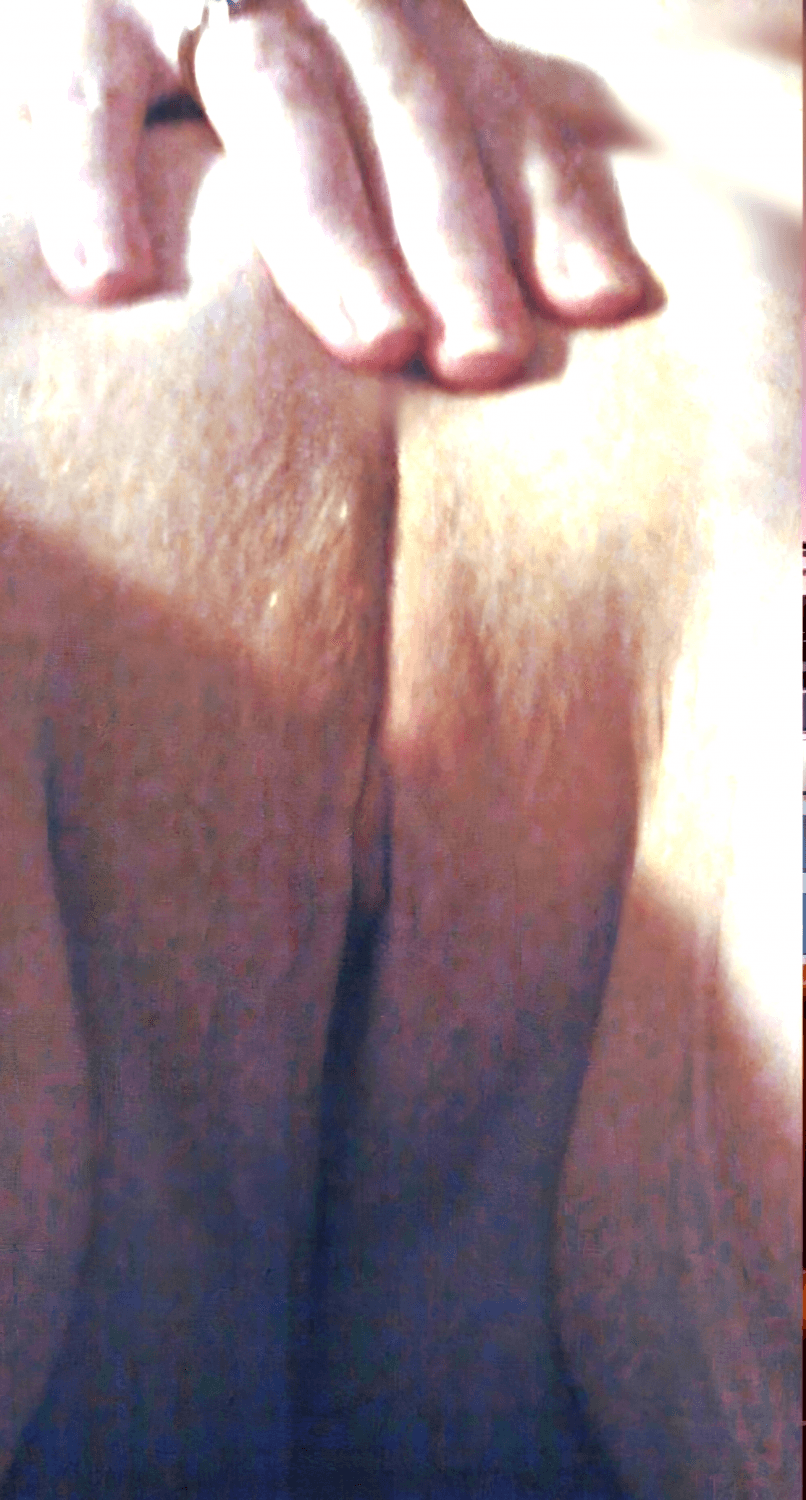 ME MOSTRA SUA MULHER (esposa buceta sexo oral)