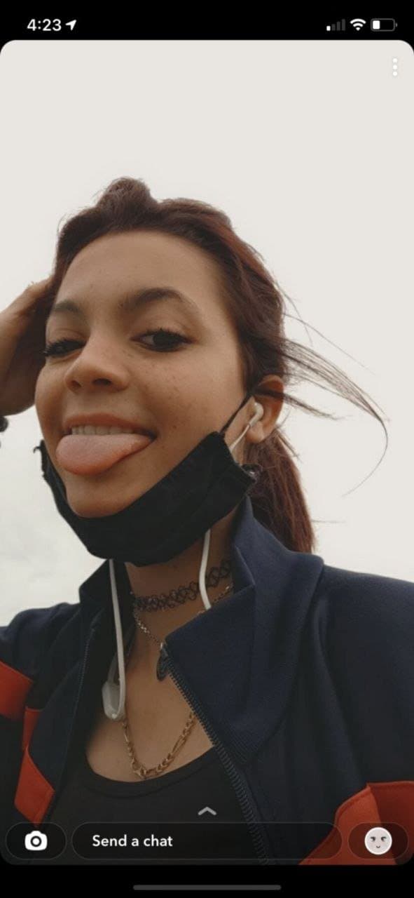 Click to view full size Salope de Lyon